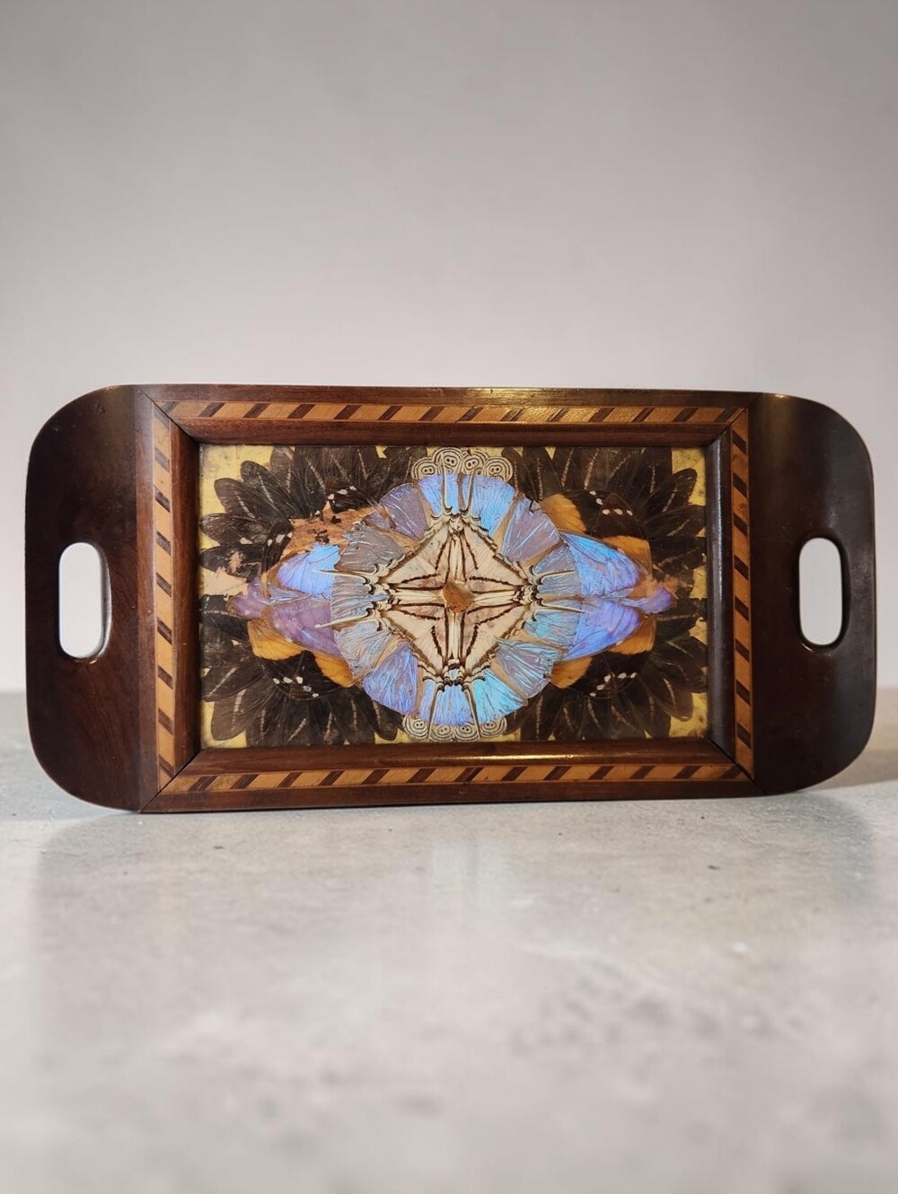 Vintage Irridescent Butterfly Wing Inlaid Wood Serving Tray Entomology Insect